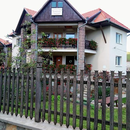 Pensiunea Bordas Panzio Sfântu-Gheorghe Buitenkant foto