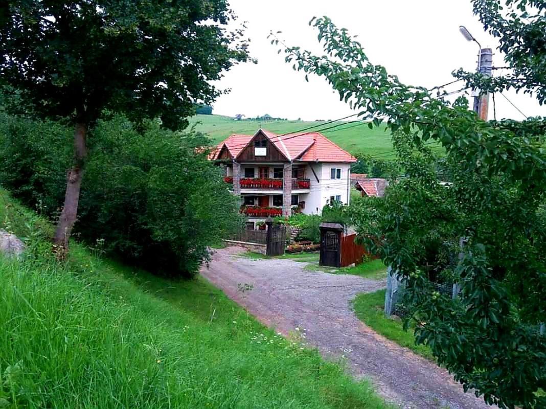 Pensiunea Bordas Panzio Sfântu-Gheorghe Buitenkant foto