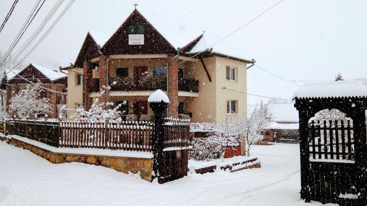 Pensiunea Bordas Panzio Sfântu-Gheorghe Buitenkant foto